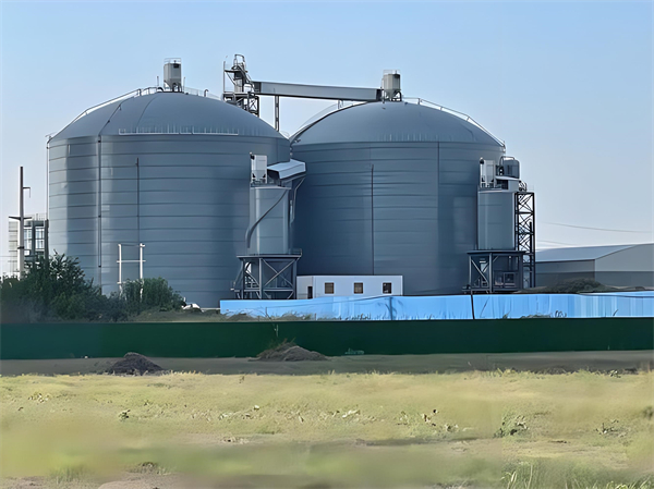 滨州钢板仓建造施工方案详解